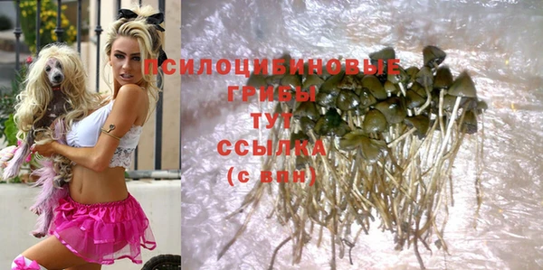 спиды Майский