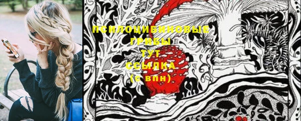 спиды Майский